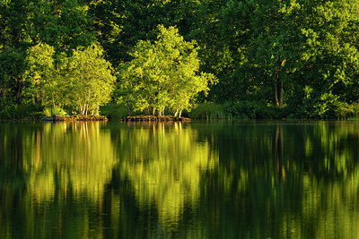 BUITEN BEELD Foto: 354185