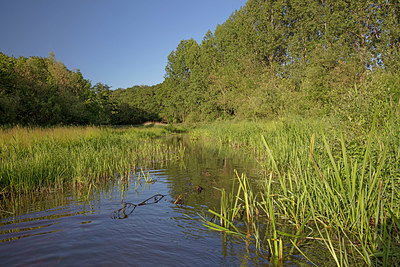 BUITEN BEELD Foto: 354432