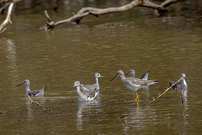 BUITEN BEELD Foto: 354691