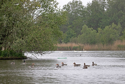 BUITEN BEELD Foto: 354693
