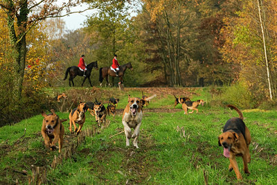 BUITEN BEELD Foto: 354979