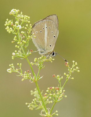 BUITEN BEELD Foto: 355081