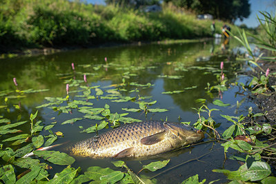 BUITEN BEELD Foto: 355284
