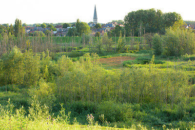 BUITEN BEELD Foto: 355456