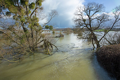 BUITEN BEELD Foto: 355467