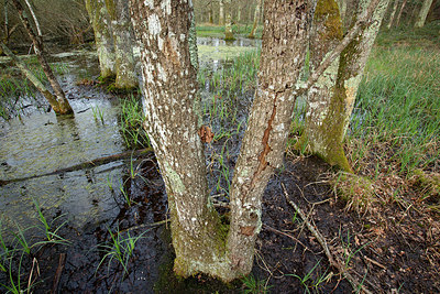 BUITEN BEELD Foto: 355471