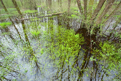BUITEN BEELD Foto: 355476