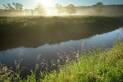 BUITEN BEELD Foto: 355479