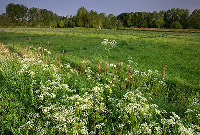 BUITEN BEELD Foto: 355620