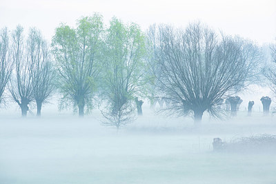 BUITEN BEELD Foto: 355629
