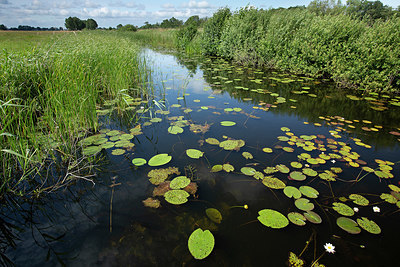 BUITEN BEELD Foto: 355630