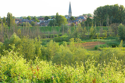 BUITEN BEELD Foto: 355652