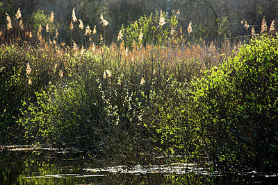 BUITEN BEELD Foto: 355659