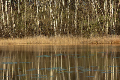 BUITEN BEELD Foto: 355660