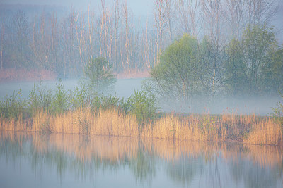 BUITEN BEELD Foto: 355661