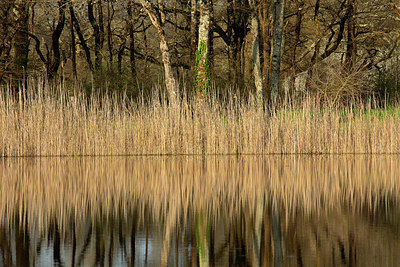 BUITEN BEELD Foto: 355693