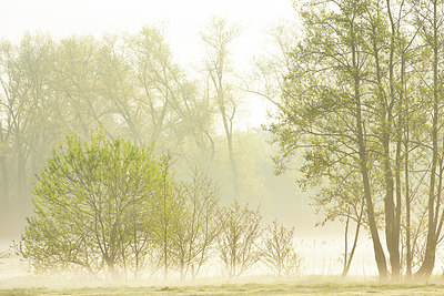 BUITEN BEELD Foto: 355727