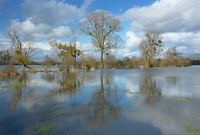 BUITEN BEELD Foto: 355738