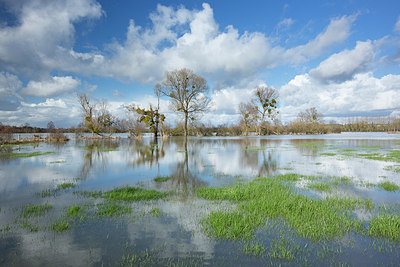 BUITEN BEELD Foto: 355746