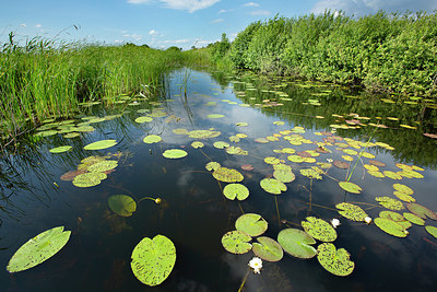 BUITEN BEELD Foto: 355753