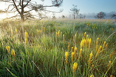 BUITEN BEELD Foto: 355800