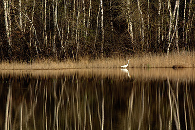 BUITEN BEELD Foto: 355855