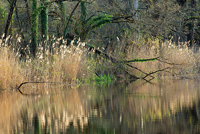 BUITEN BEELD Foto: 355860