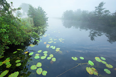 BUITEN BEELD Foto: 355871