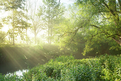 BUITEN BEELD Foto: 355887