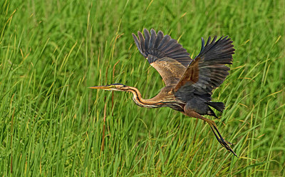 BUITEN BEELD Foto: 356003