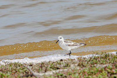 BUITEN BEELD Foto: 356006