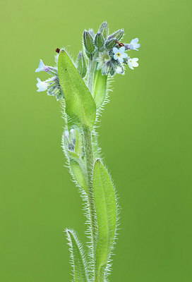 BUITEN BEELD Foto: 356236