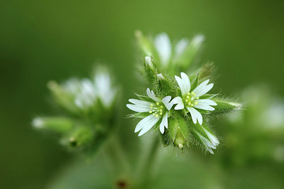 BUITEN BEELD Foto: 356238