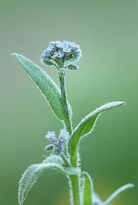 BUITEN BEELD Foto: 356239