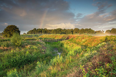 BUITEN BEELD Foto: 356268