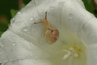 BUITEN BEELD Foto: 356403