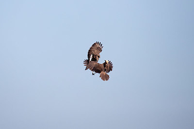 BUITEN BEELD Foto: 356420