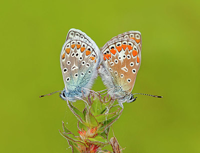 BUITEN BEELD Foto: 356471