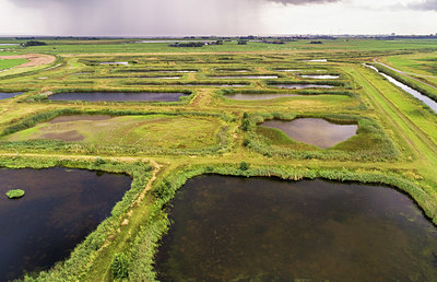 BUITEN BEELD Foto: 356582