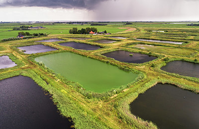 BUITEN BEELD Foto: 356583