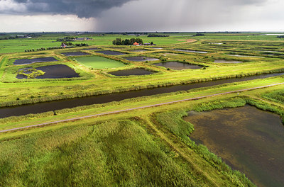 BUITEN BEELD Foto: 356585