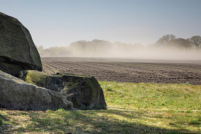 BUITEN BEELD Foto: 356639