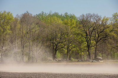 BUITEN BEELD Foto: 356640