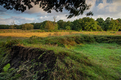 BUITEN BEELD Foto: 356755