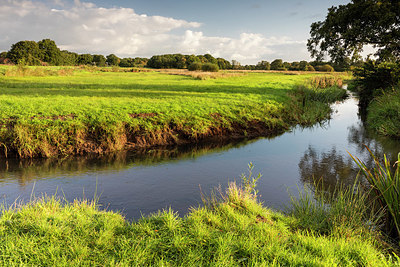 BUITEN BEELD Foto: 356759
