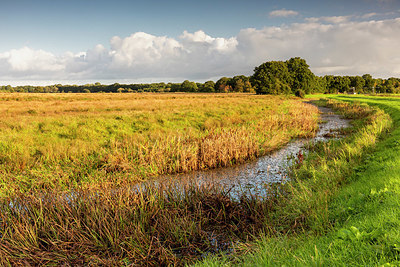 BUITEN BEELD Foto: 356760