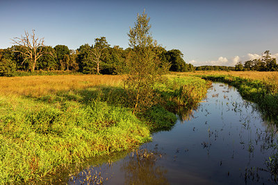 BUITEN BEELD Foto: 356761