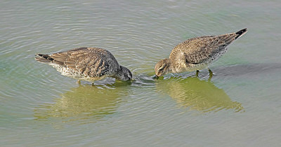BUITEN BEELD Foto: 356774