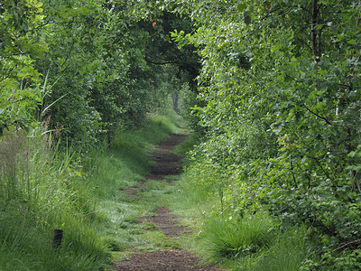 BUITEN BEELD Foto: 356807