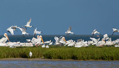 BUITEN BEELD Foto: 356907